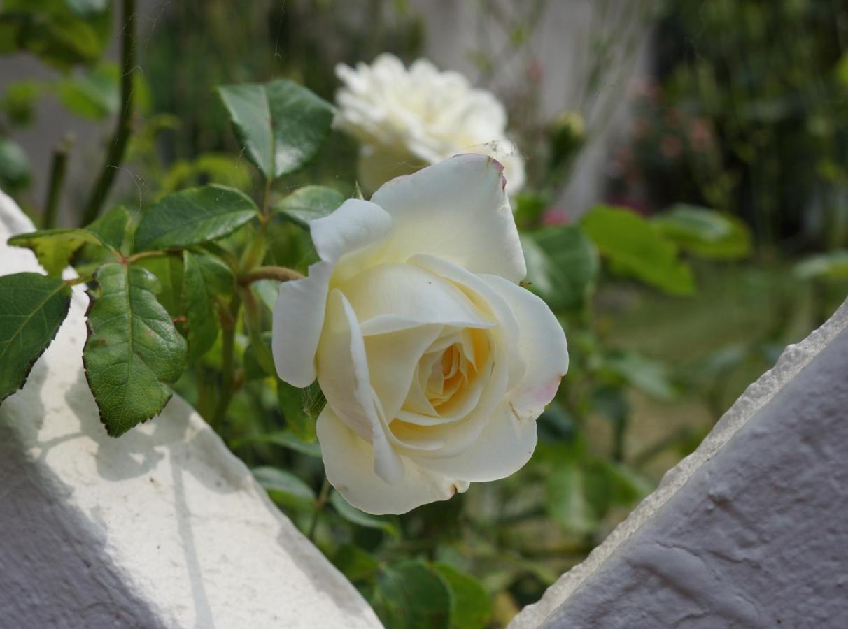 The Silent Picket Bed & Breakfast Martinpuich Bagian luar foto