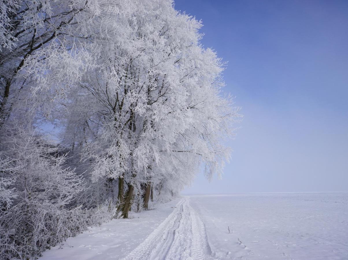 The Silent Picket Bed & Breakfast Martinpuich Bagian luar foto